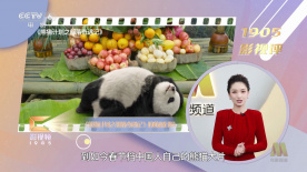 出来卖的女人